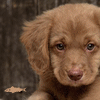 http://upforme.ru/uploads/0000/07/41/305-5.gif