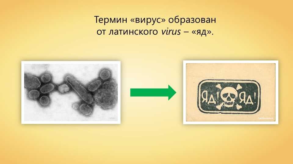 http://upforme.ru/uploads/0000/08/3f/2/689053.jpg