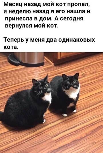 http://upforme.ru/uploads/0000/08/fe/1069/t930761.jpg