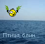 http://upforme.ru/uploads/0000/09/32/4438-3.gif