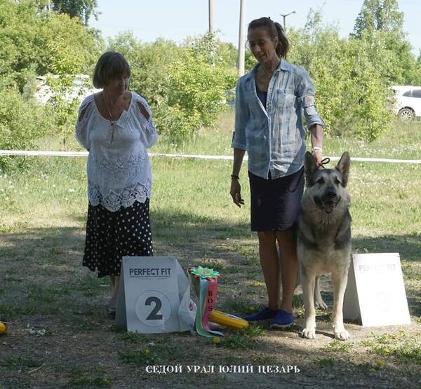 http://upforme.ru/uploads/0000/09/47/8386/t167535.jpg