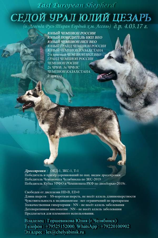 http://upforme.ru/uploads/0000/09/47/8386/t63101.jpg