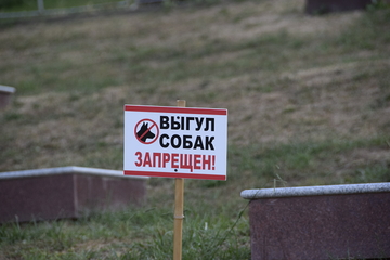 http://upforme.ru/uploads/0000/0a/bc/10781/t306323.png