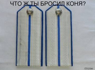 http://upforme.ru/uploads/0000/0a/bc/12974/t977431.jpg