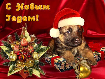 http://upforme.ru/uploads/0000/0a/bc/4684/t450267.jpg