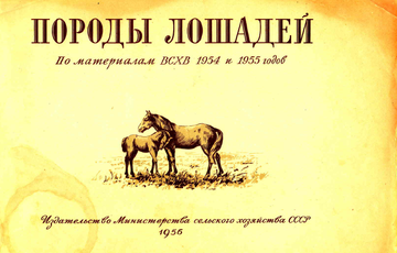 http://upforme.ru/uploads/0000/0a/bc/4684/t546098.png