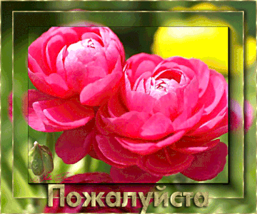 http://upforme.ru/uploads/0000/0a/bc/4684/t690270.gif