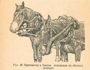 http://upforme.ru/uploads/0000/0a/bc/4684/t963781.jpg