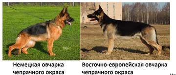 http://upforme.ru/uploads/0000/0a/bc/4684/t999764.png