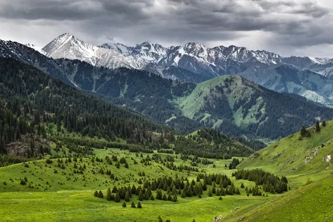 http://upforme.ru/uploads/0000/0a/bc/8759/t546875.jpg