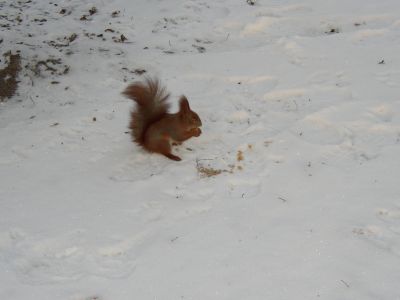 http://upforme.ru/uploads/0000/0a/f2/3410-1-f.jpg