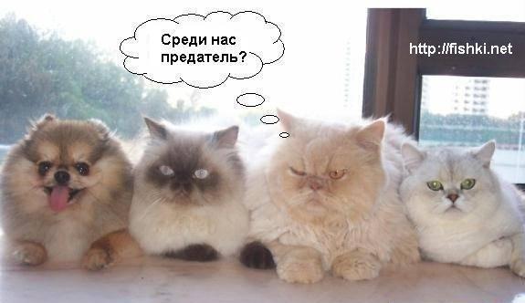 http://upforme.ru/uploads/0000/0a/f2/40705-1-f.jpg