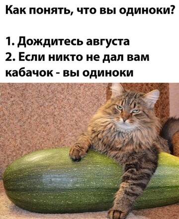 http://upforme.ru/uploads/0000/0b/36/1280/t323161.jpg