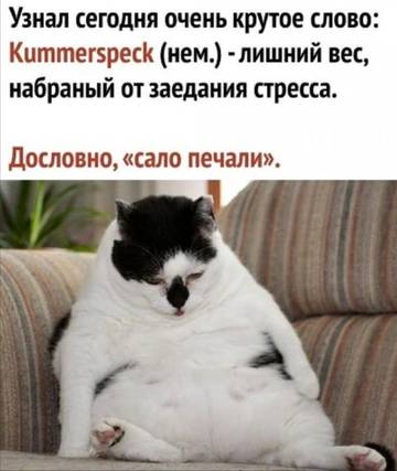http://upforme.ru/uploads/0000/0b/36/1280/t79013.jpg