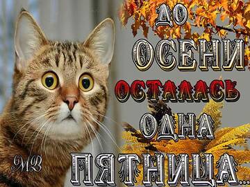 http://upforme.ru/uploads/0000/0b/36/1280/t840830.jpg