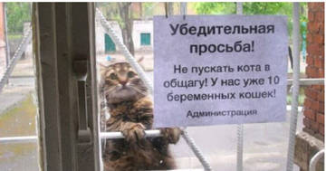 http://upforme.ru/uploads/0000/0b/36/2741/t18410.jpg