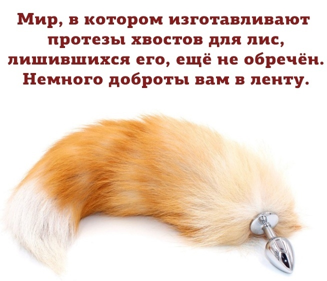 http://upforme.ru/uploads/0000/0b/36/5143/121412.jpg
