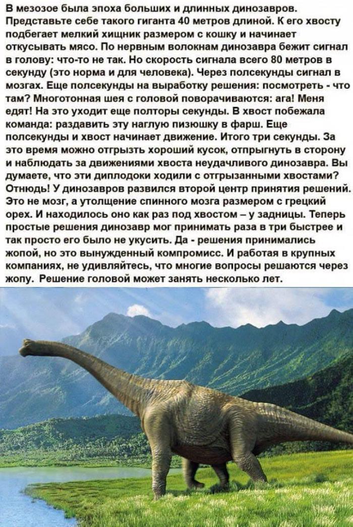 http://upforme.ru/uploads/0000/0b/36/5143/246200.jpg