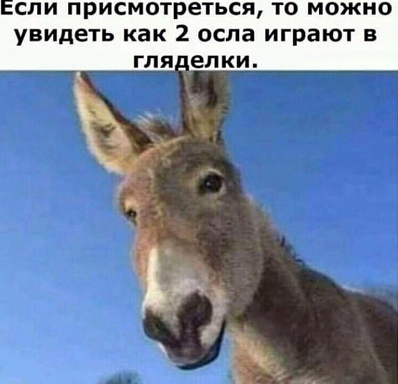 http://upforme.ru/uploads/0000/0b/36/5143/46239.jpg