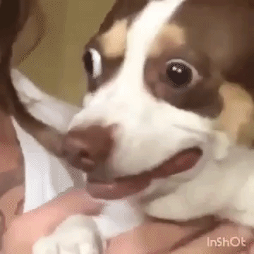 http://upforme.ru/uploads/0000/0b/36/5143/840394.gif