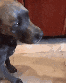 http://upforme.ru/uploads/0000/0b/36/5143/963322.gif