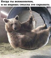 http://upforme.ru/uploads/0000/0b/36/988/t176641.jpg