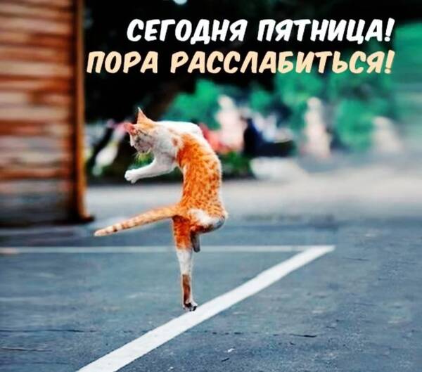 http://upforme.ru/uploads/0000/0b/36/988/t209536.jpg