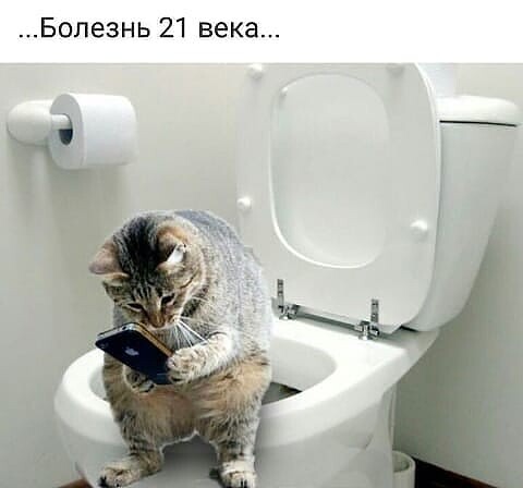 http://upforme.ru/uploads/0000/0b/36/988/t393298.jpg