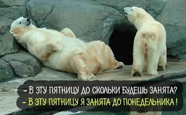 http://upforme.ru/uploads/0000/0b/36/988/t482415.jpg