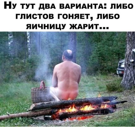 http://upforme.ru/uploads/0000/0b/36/988/t53709.jpg