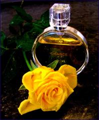 http://upforme.ru/uploads/0000/0b/62/130633-1.jpg