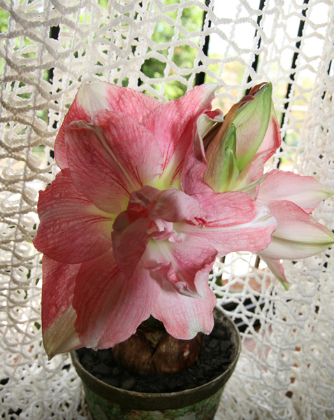 http://upforme.ru/uploads/0000/0b/62/197027-1-f.jpg