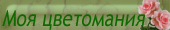 http://upforme.ru/uploads/0000/0b/62/204407-1.gif
