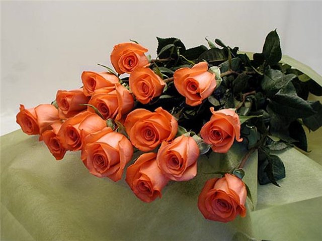 http://upforme.ru/uploads/0000/0b/62/233844-1-f.jpg