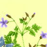 http://upforme.ru/uploads/0000/0b/62/46779-1.gif