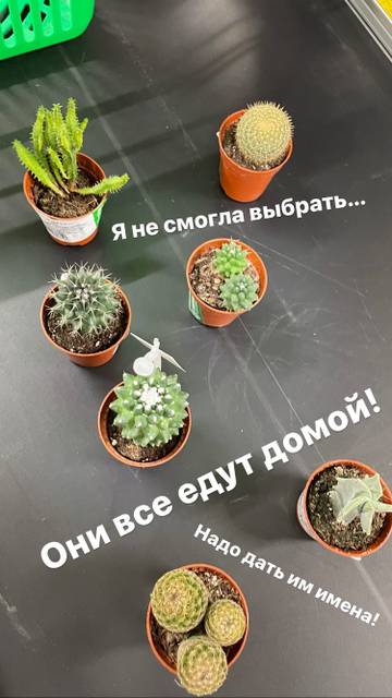 http://upforme.ru/uploads/0000/0c/52/2755/t117003.jpg