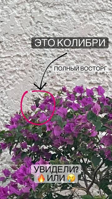 http://upforme.ru/uploads/0000/0c/52/2755/t152956.jpg