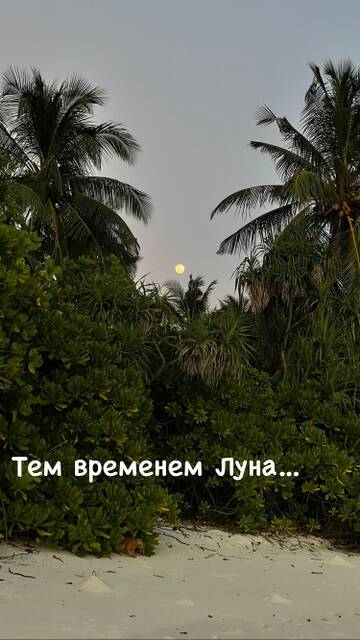 http://upforme.ru/uploads/0000/0c/52/2755/t234045.jpg