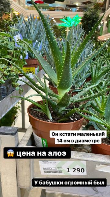 http://upforme.ru/uploads/0000/0c/52/2755/t669477.jpg