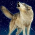 http://upforme.ru/uploads/0000/0c/f1/4520-1.gif