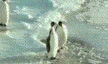 http://upforme.ru/uploads/0000/11/57/1850-1.gif