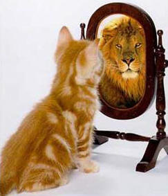http://upforme.ru/uploads/0000/14/0b/100/t312285.jpg