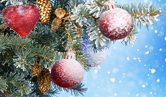 http://upforme.ru/uploads/0000/14/0b/117/t93915.jpg
