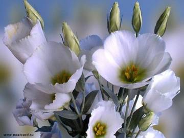 http://upforme.ru/uploads/0000/14/0b/143/t761958.jpg
