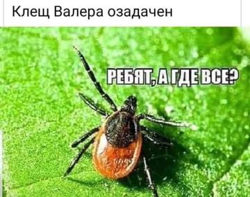 http://upforme.ru/uploads/0000/14/1c/15964/t25891.jpg