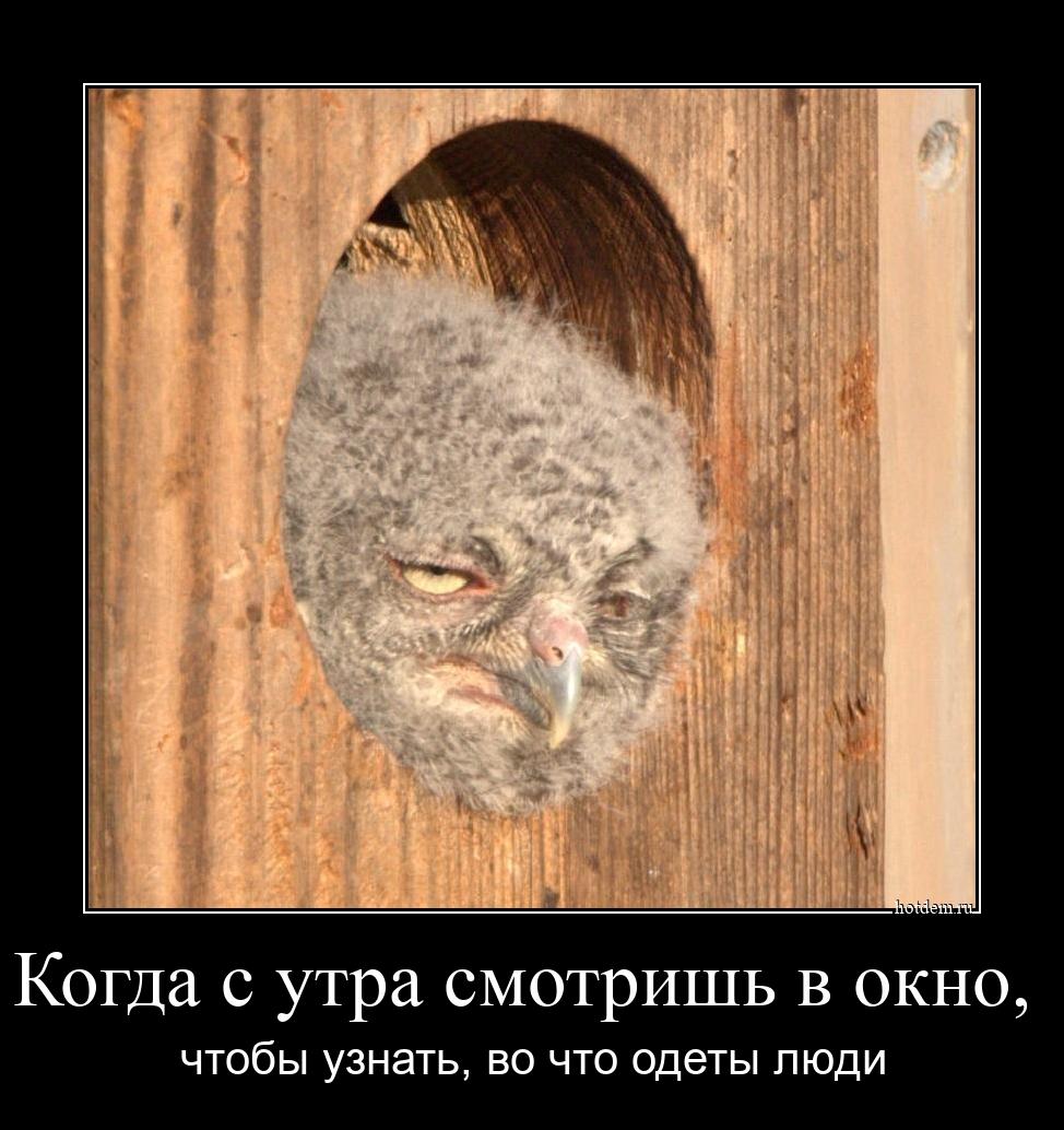 http://upforme.ru/uploads/0000/14/1c/22787/475301.jpg