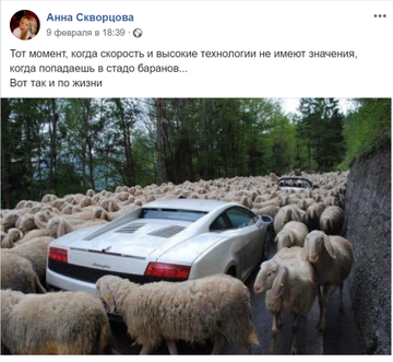http://upforme.ru/uploads/0000/14/1c/30283/t10001.png