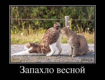 http://upforme.ru/uploads/0000/14/1c/30283/t36391.jpg