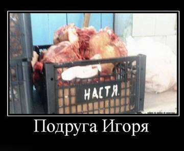http://upforme.ru/uploads/0000/14/1c/30283/t97086.jpg