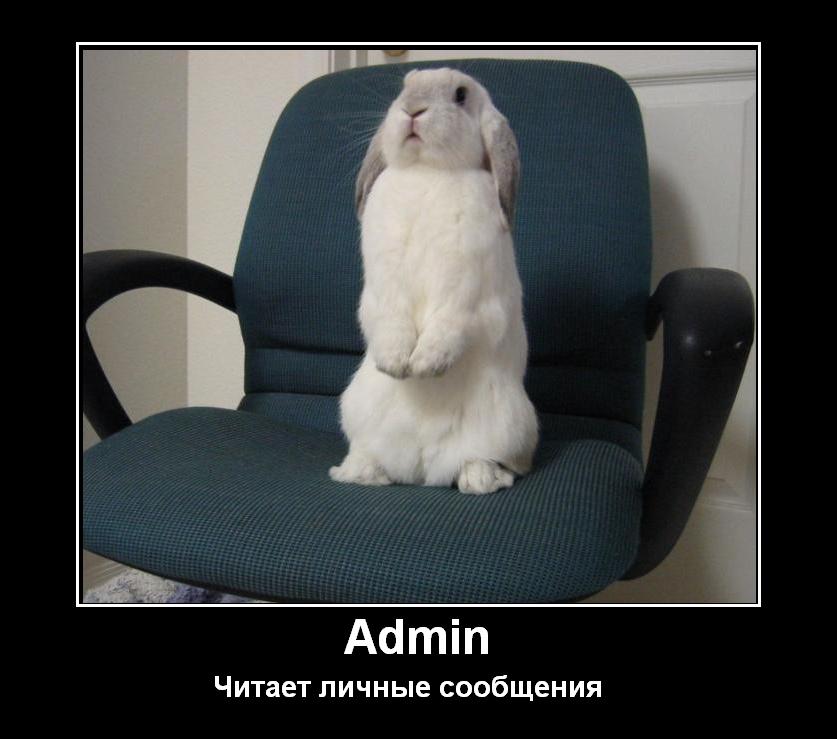 http://upforme.ru/uploads/0000/14/1c/564176-3-f.jpg